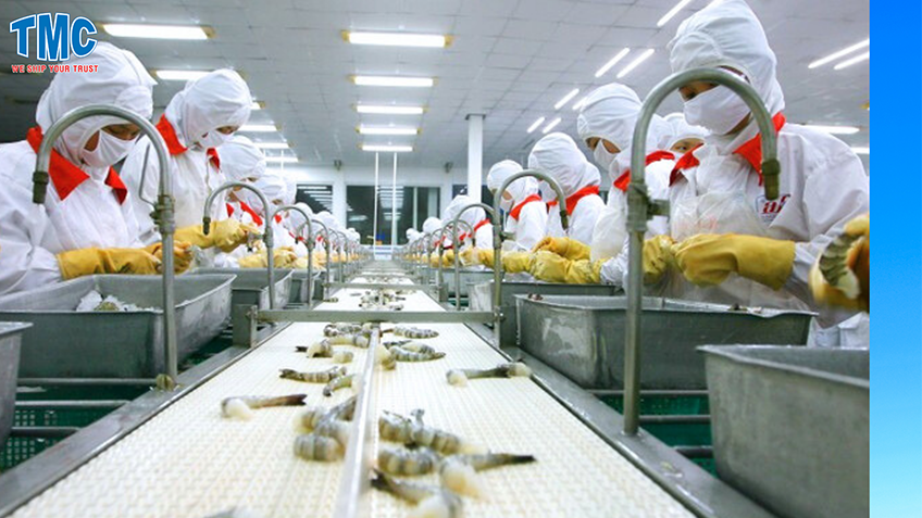 Tom la ngoi sao nganh xuat khau