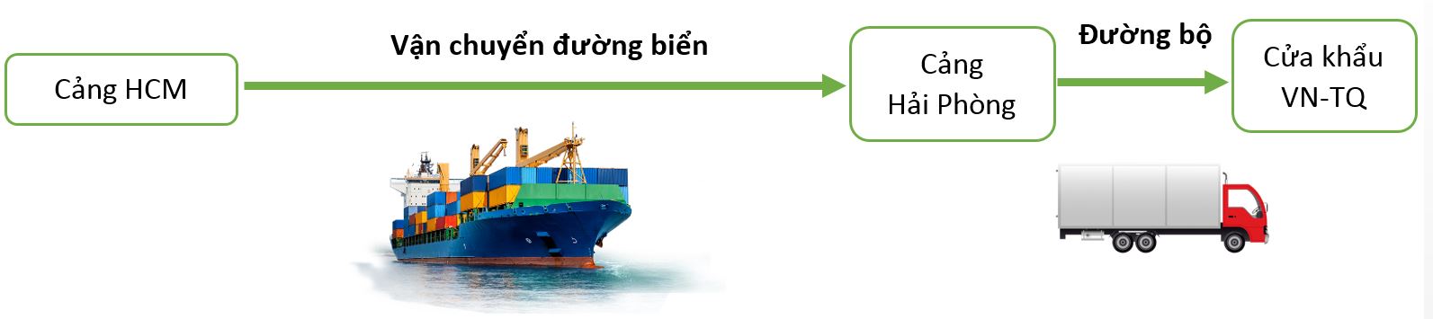 dịch vụ vận chuyển container lạnh đi trung quốc của TMC THAMICO