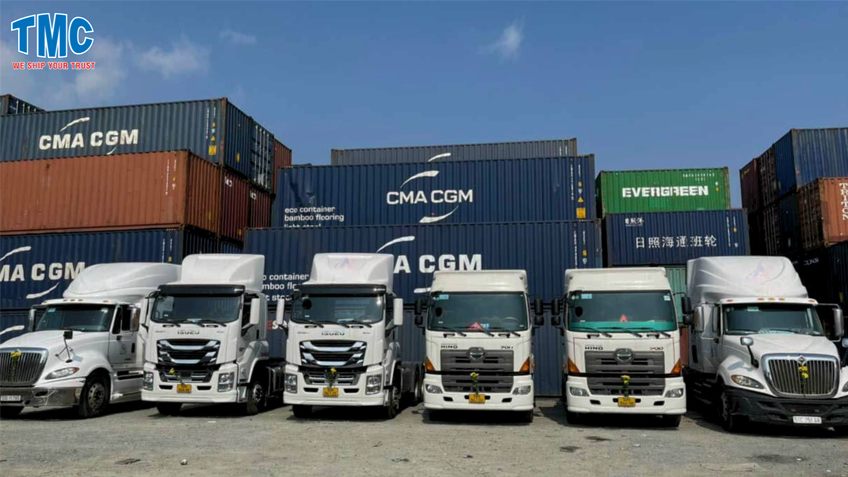 thich nghi voi nhung thay doi cua VATA