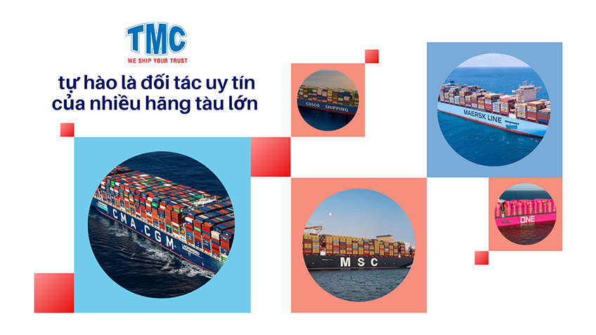 tmc-hop-tac-voi-nhieu-hang-tau-lon