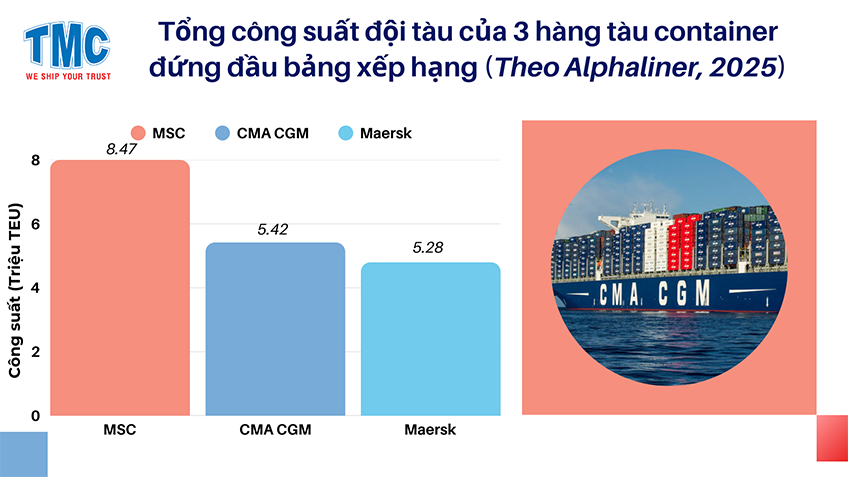 tong-cong-suat-tau-container-2025